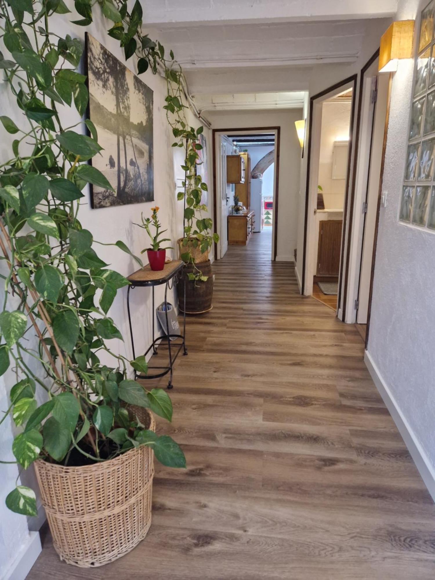 Ca La Teia Apartment Bellcaire d'Emporda Ngoại thất bức ảnh